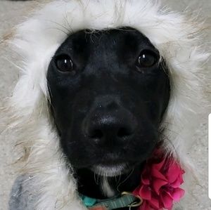 Meet your Posher, Jodi